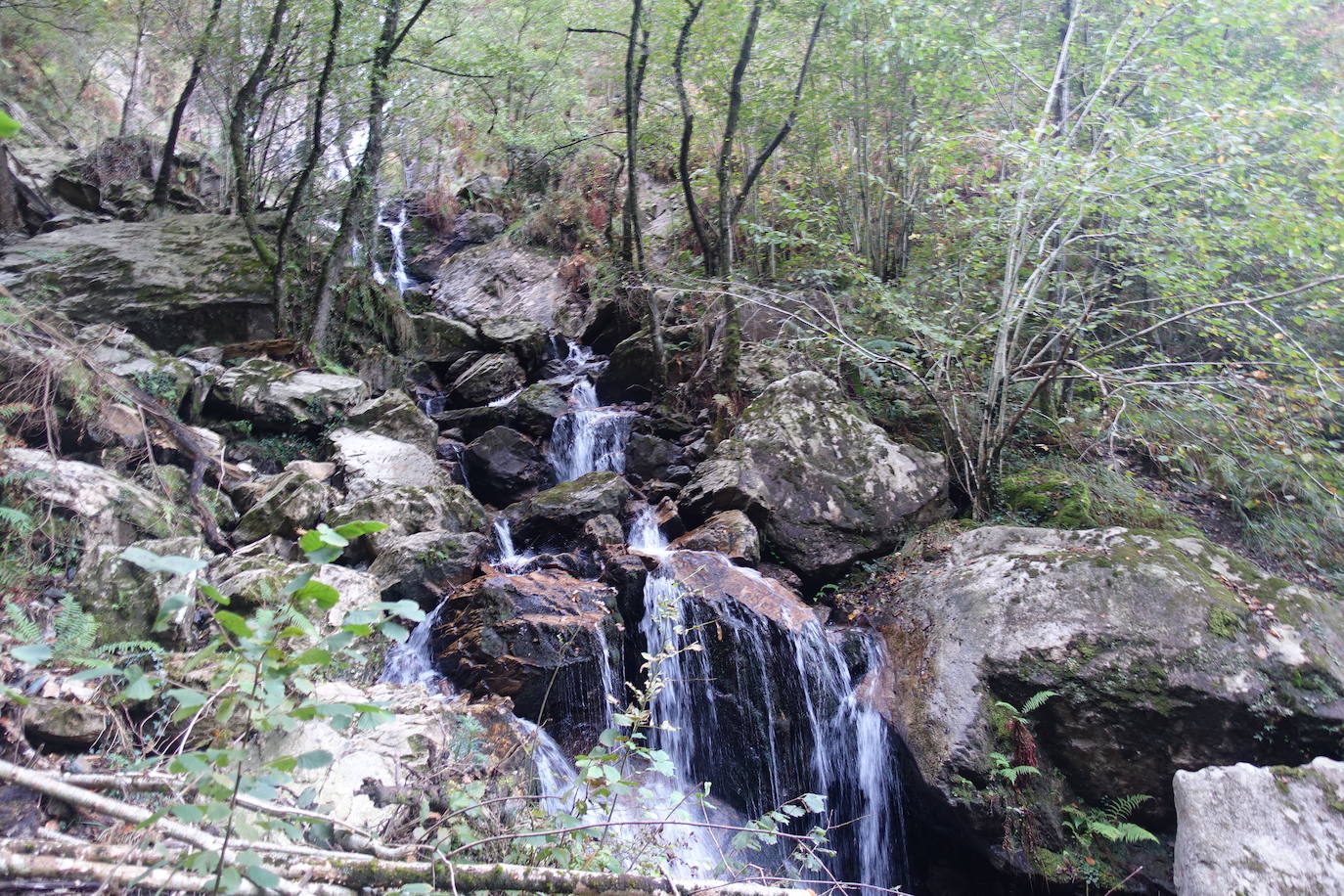 Fotos: Arburu, belleza natural gota a gota