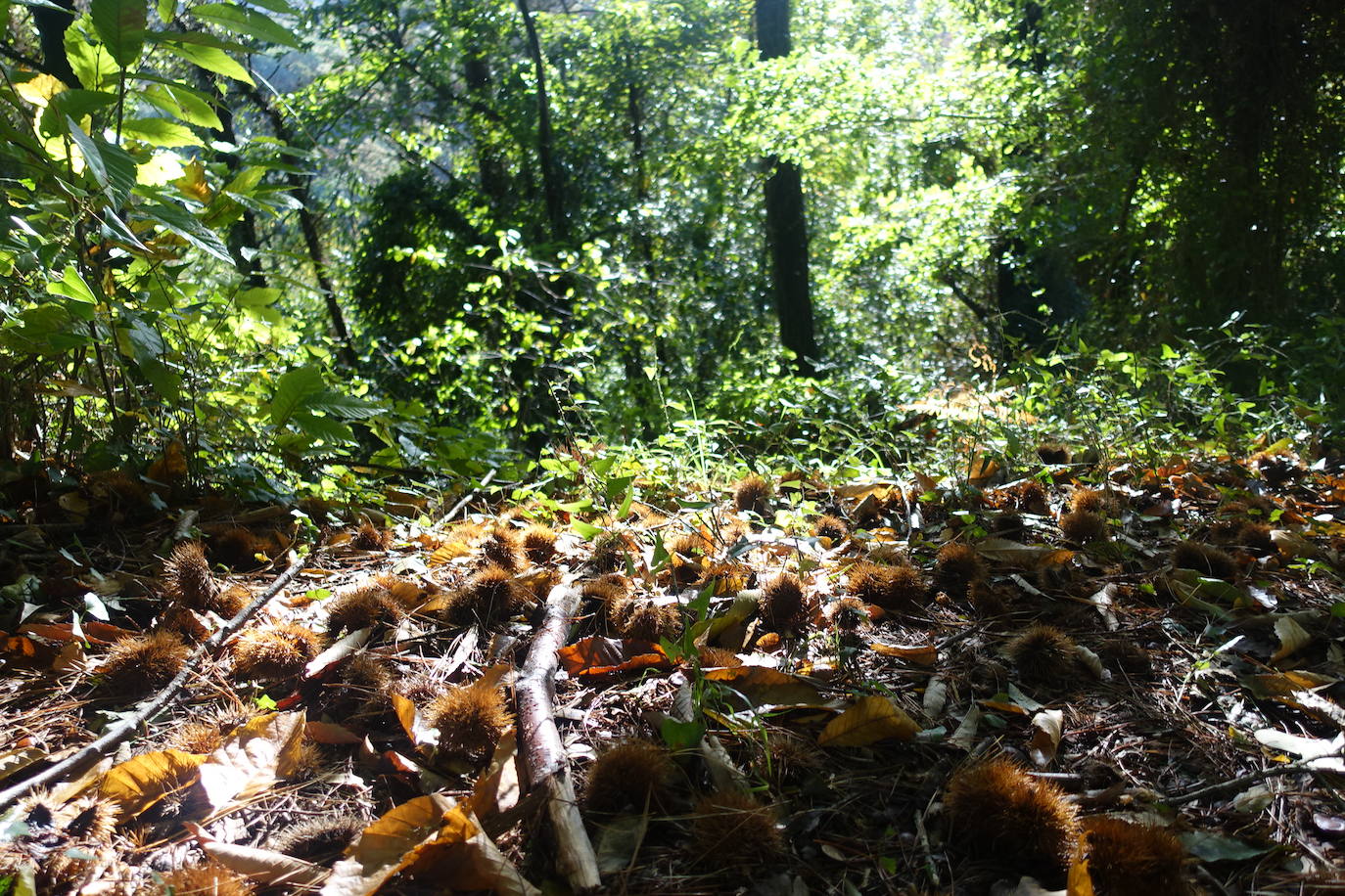 Fotos: Arburu, belleza natural gota a gota