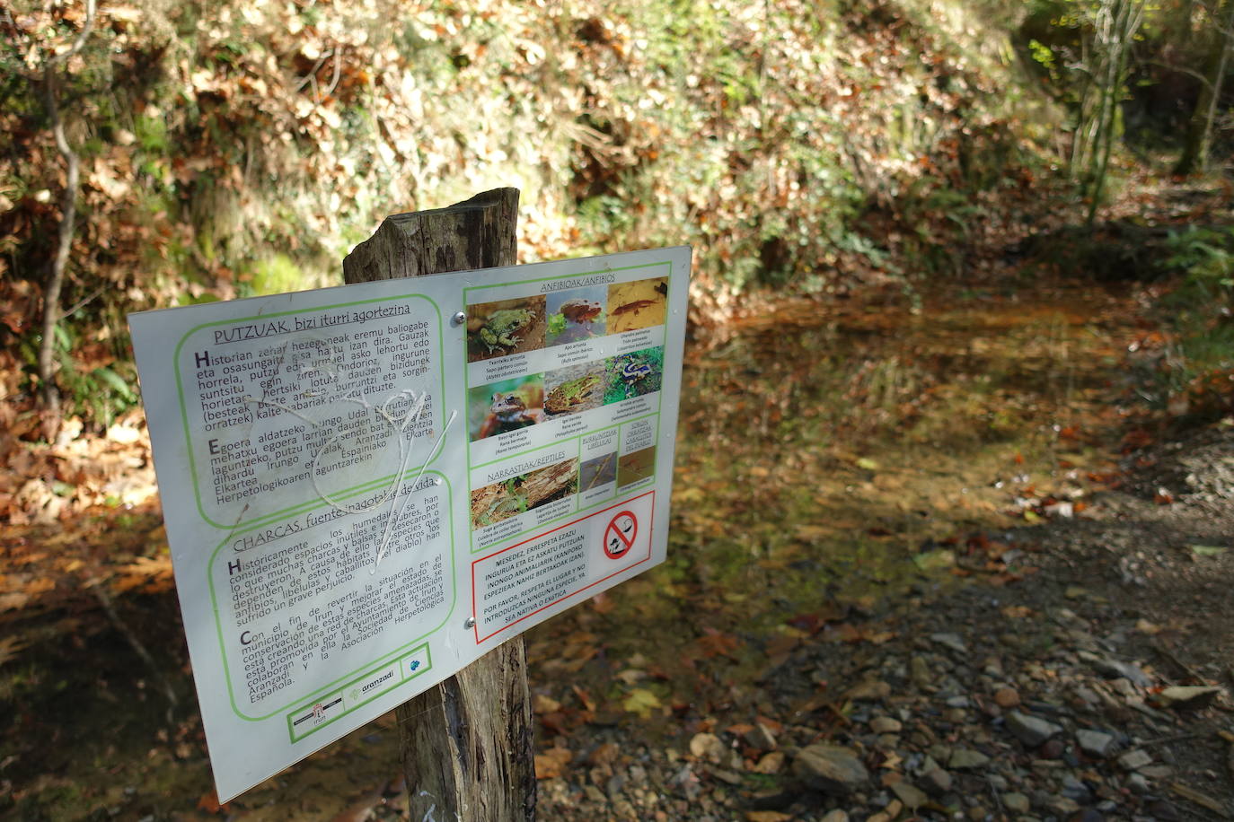 Fotos: Arburu, belleza natural gota a gota