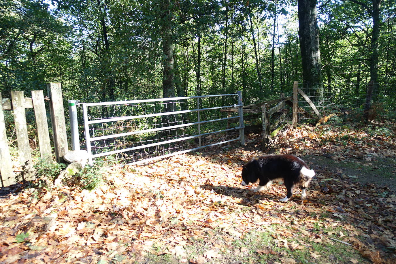 Fotos: Arburu, belleza natural gota a gota