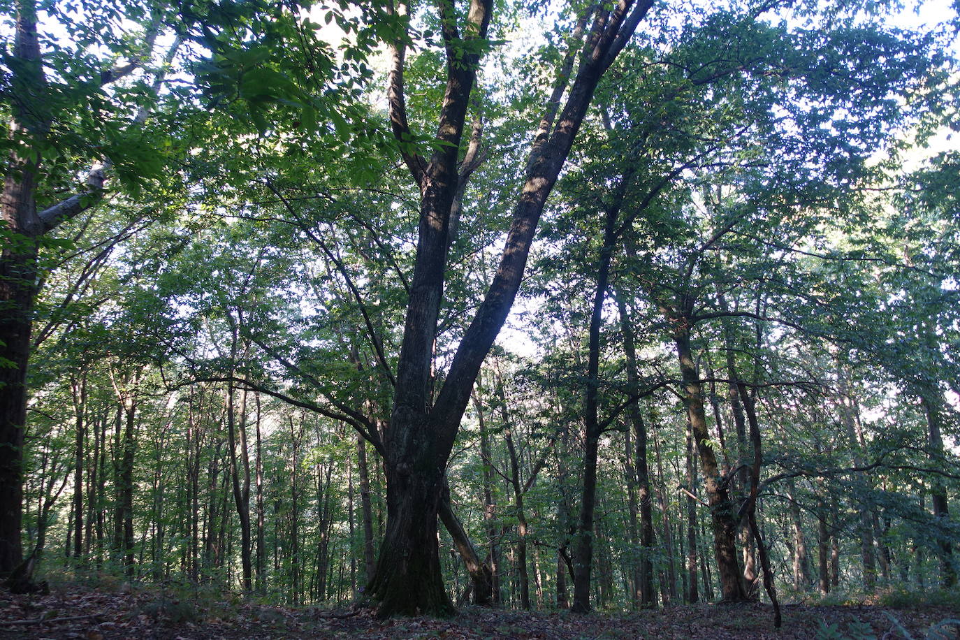 Fotos: Arburu, belleza natural gota a gota