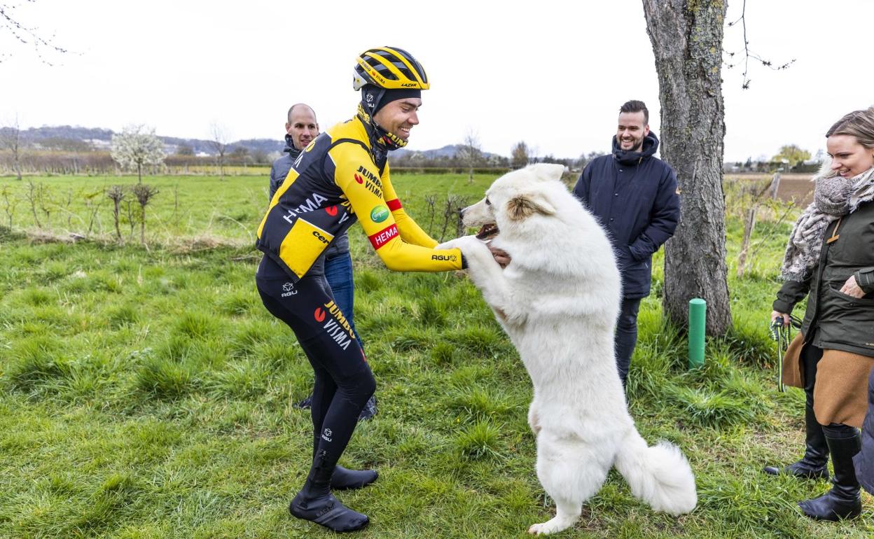 Tom Dumoulin juega con un perro antes de una carrera. 