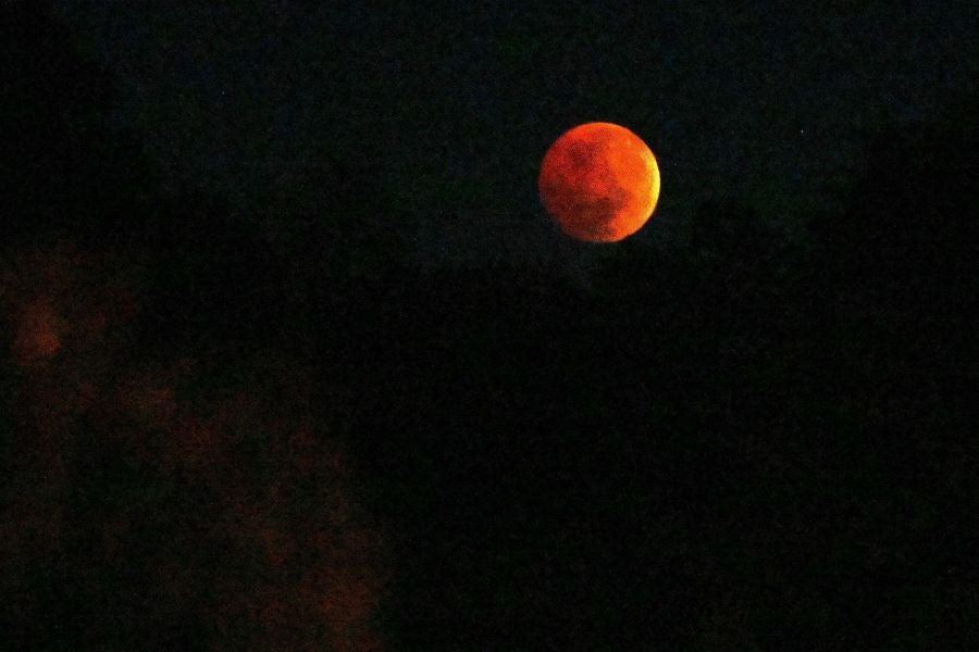 Fotos: Así se vio la luna de sangre