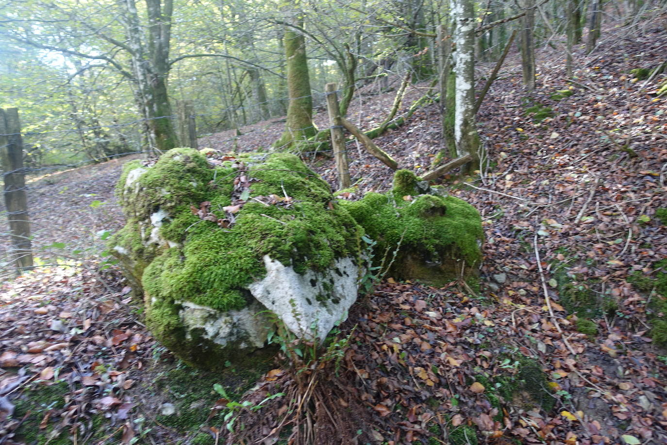 Fotos: Ata. El valle de las piedras encantadas