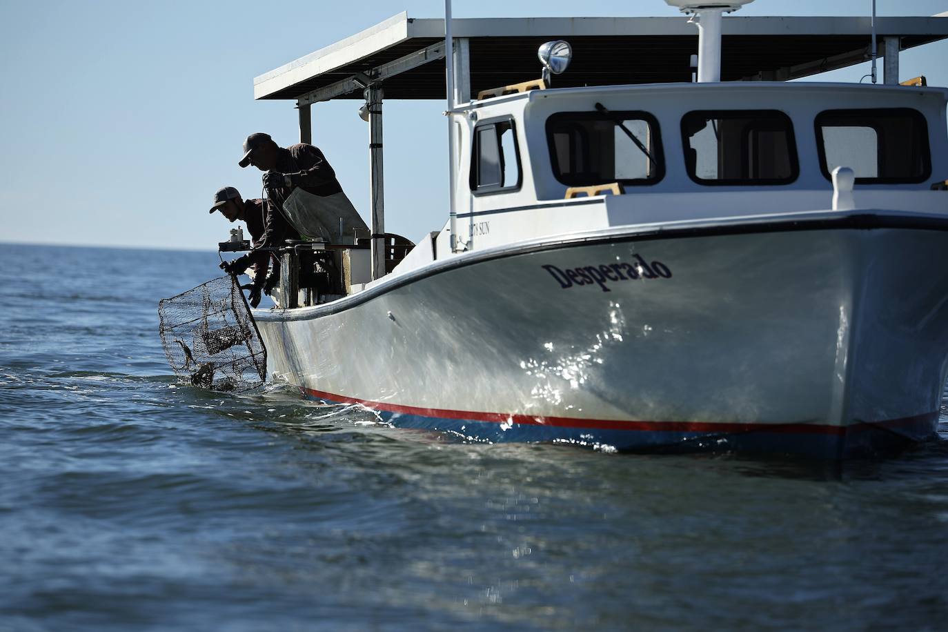 Fotos: El agua se come a las islas Chesapeake