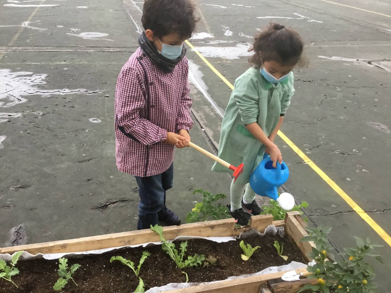 Dos alumnos cuidando la huerta del centro 