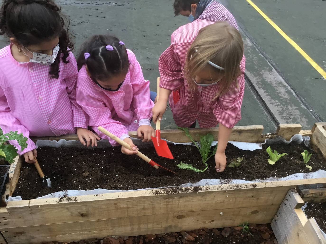 Varias alumnas cuidando la huerta del colegio