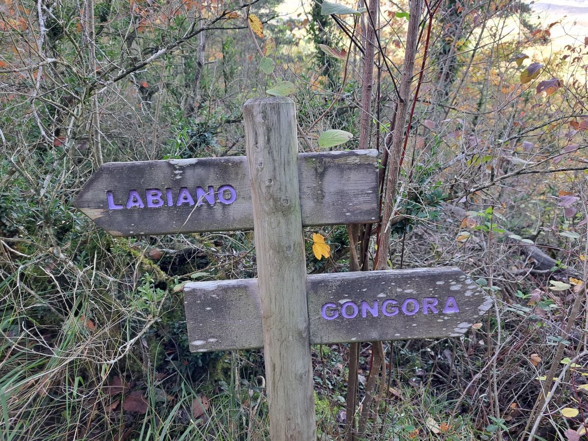 Fotos: Irulegi: impresionante balcón del reino