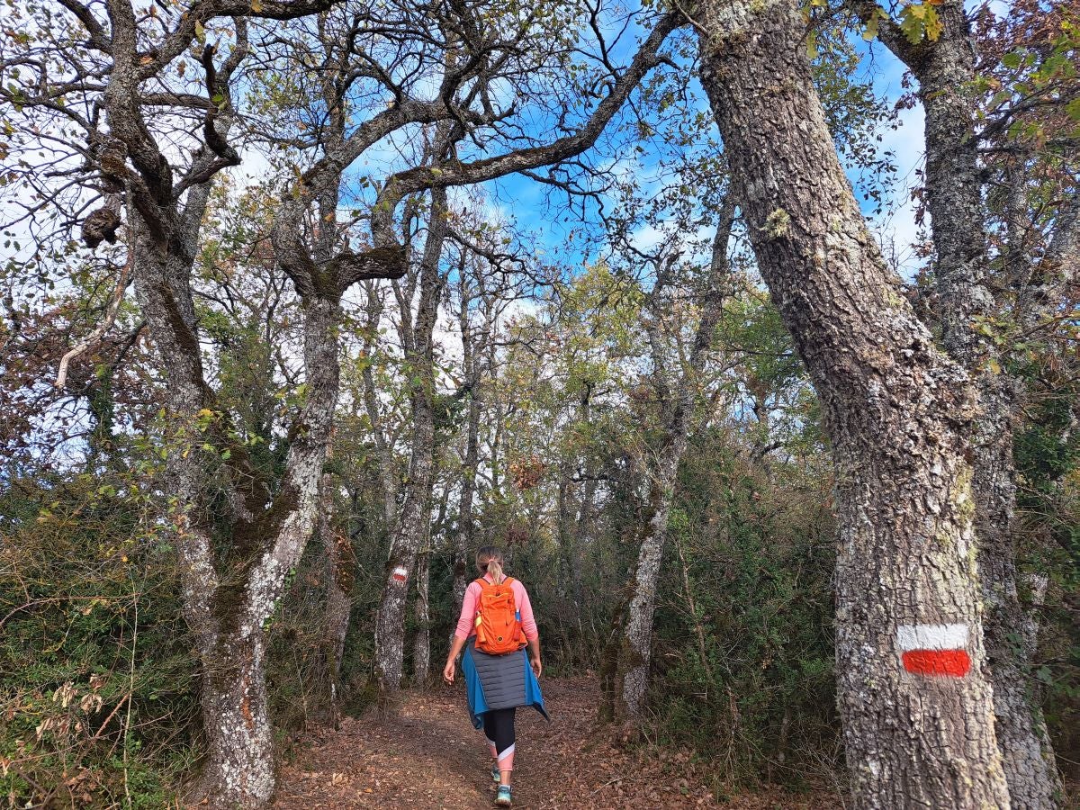 Fotos: Irulegi: impresionante balcón del reino
