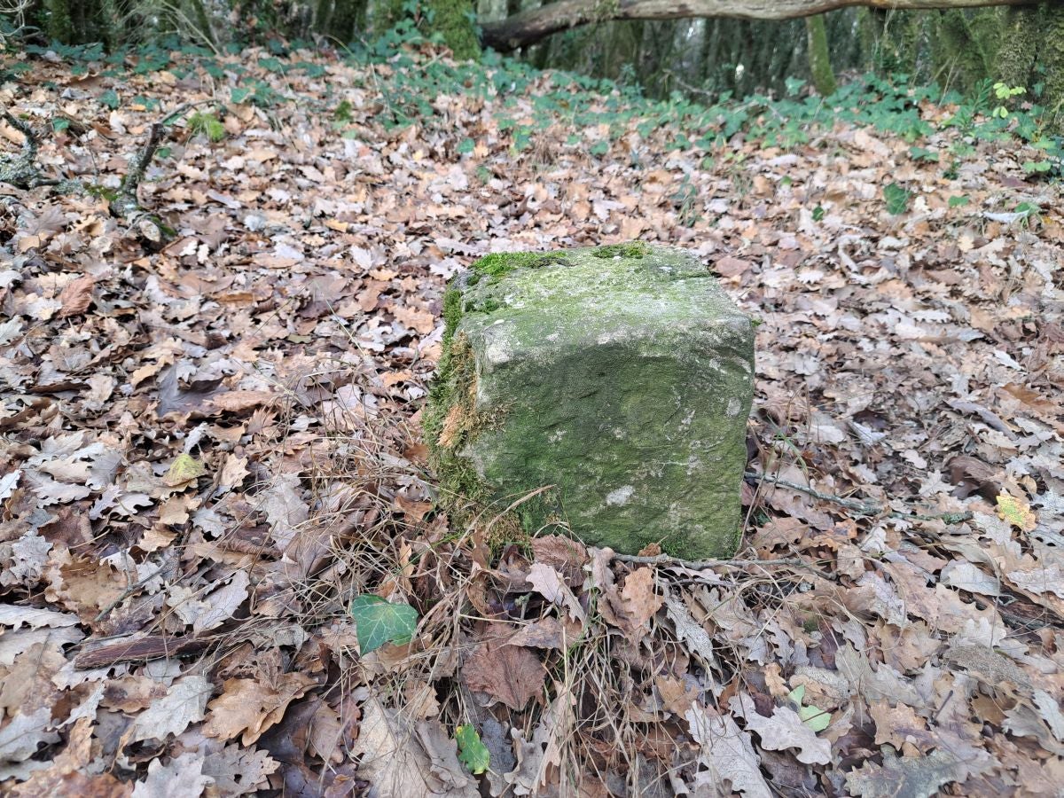 Fotos: Irulegi: impresionante balcón del reino