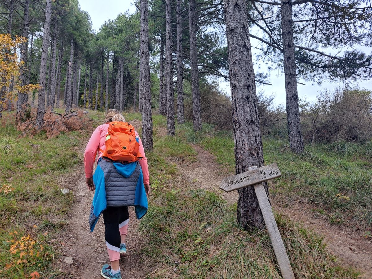Fotos: Irulegi: impresionante balcón del reino