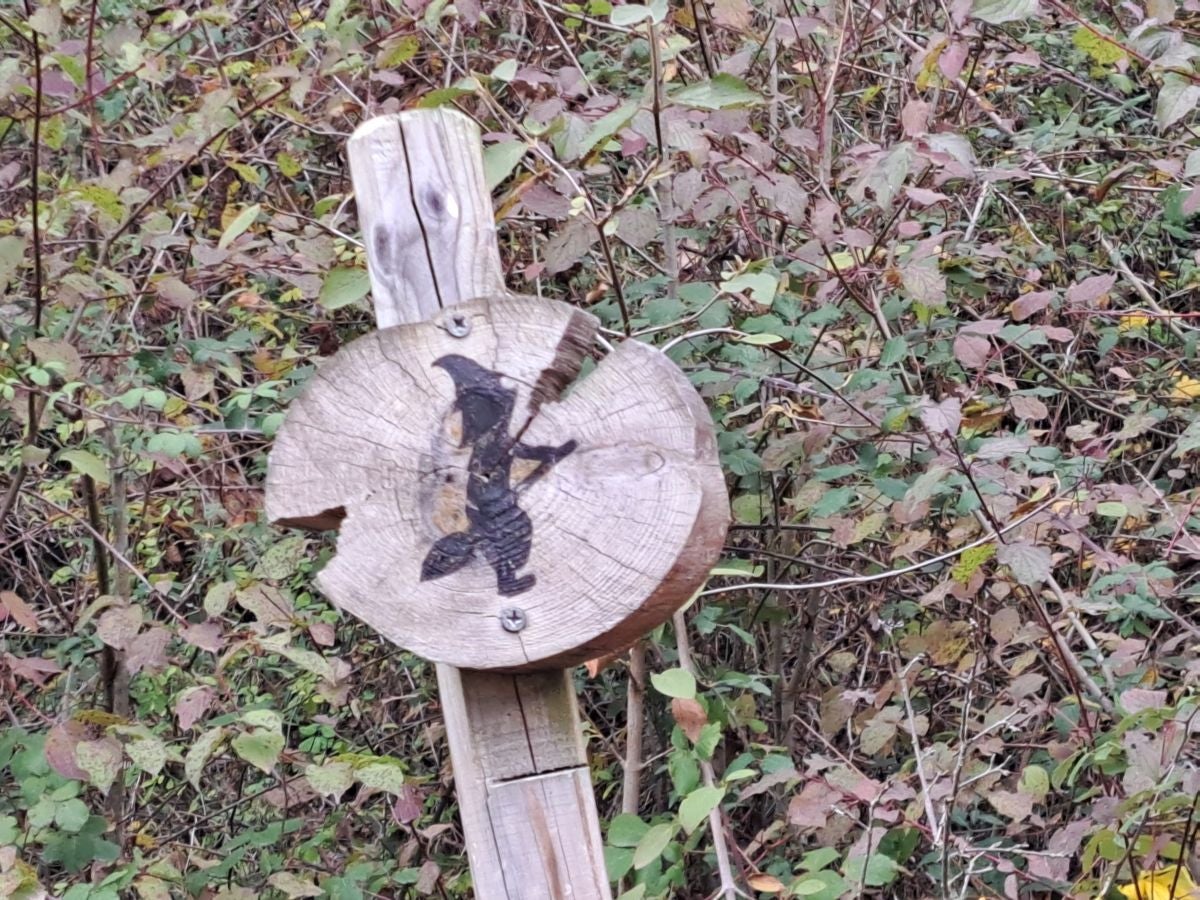 Fotos: Irulegi: impresionante balcón del reino