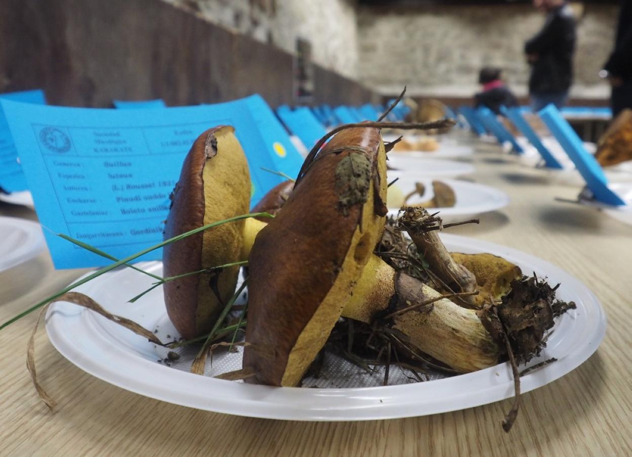 Las setas, en su versión más sabrosa, coparán buena parte del protagonismo de la actualidad estos días. 