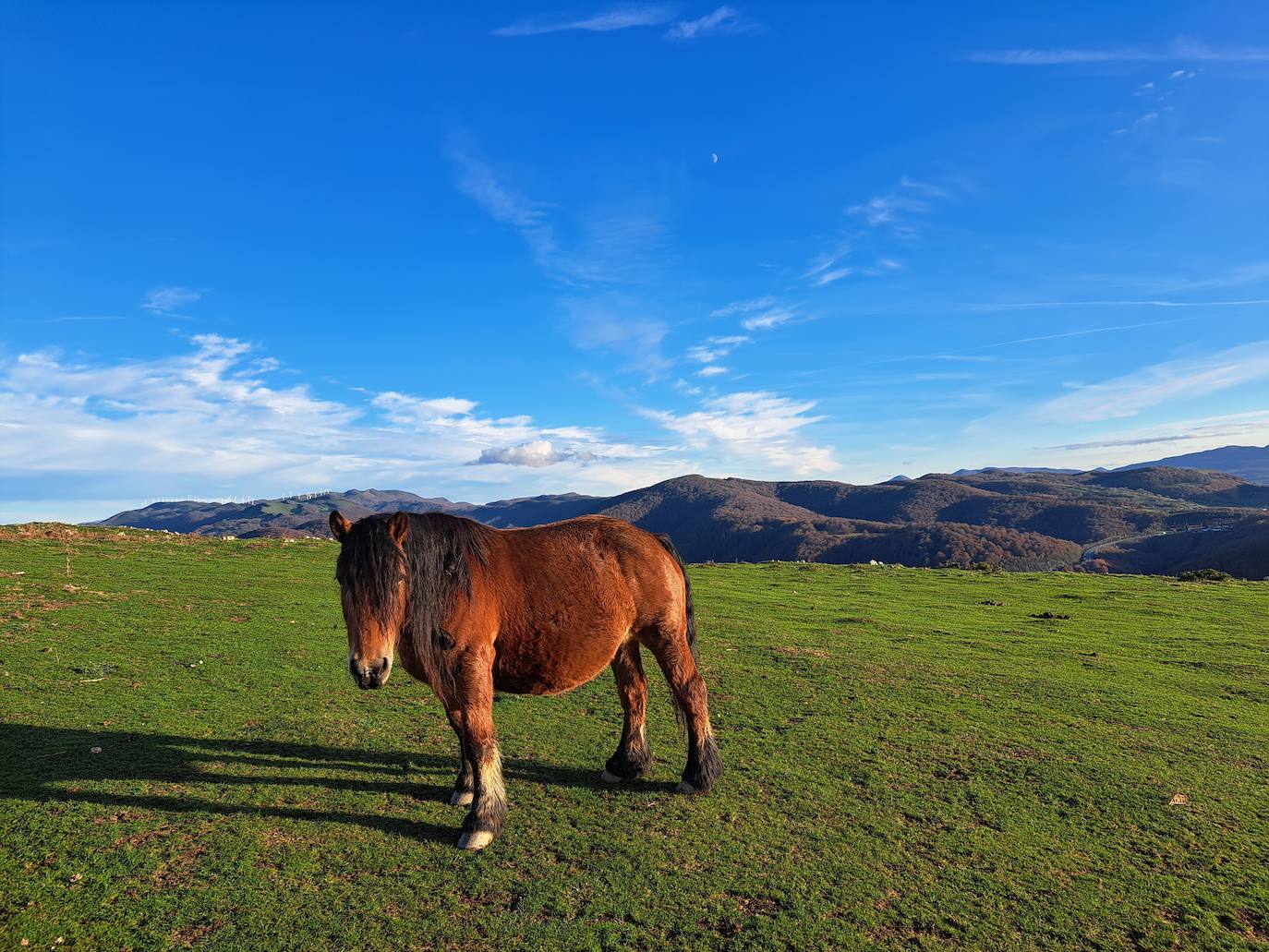 Fotosdel Monte Ulizar