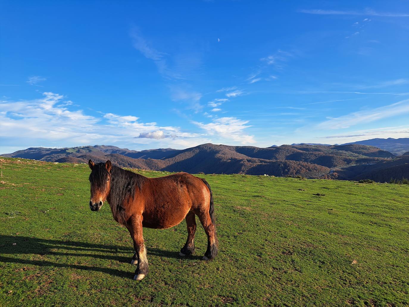 Fotosdel Monte Ulizar