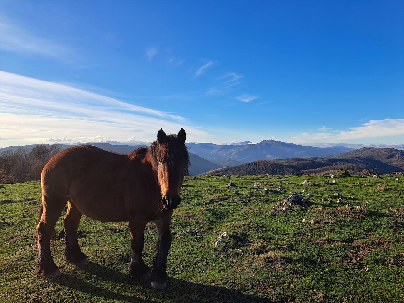 Fotosdel Monte Ulizar