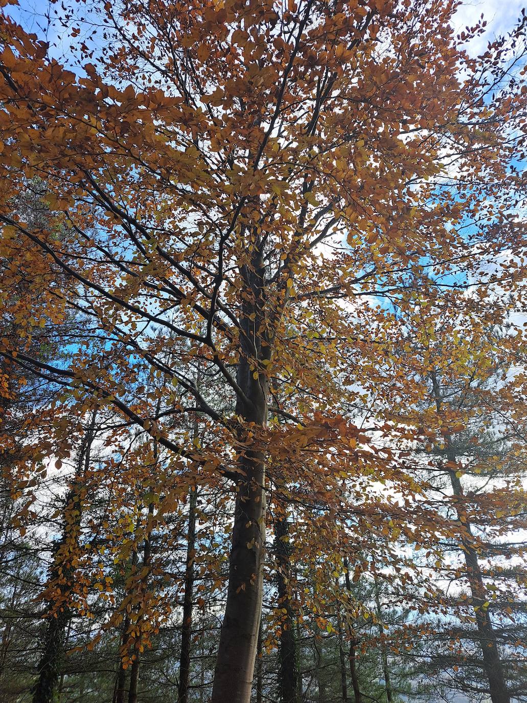 Fotos: Urdelar, una cima diferente