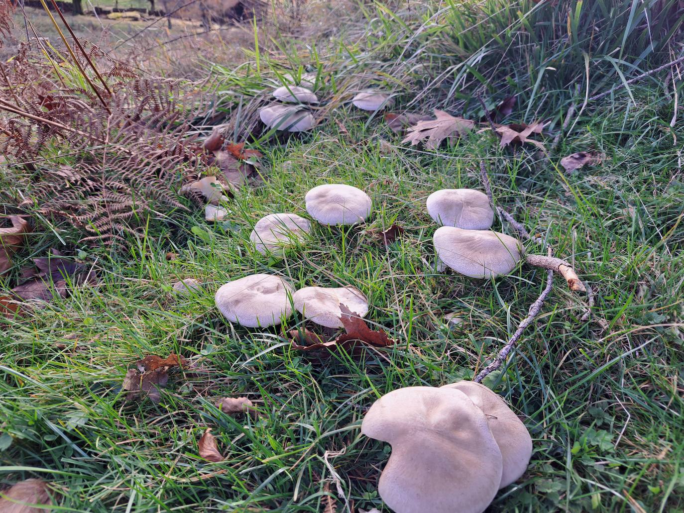 Fotos: Urdelar, una cima diferente
