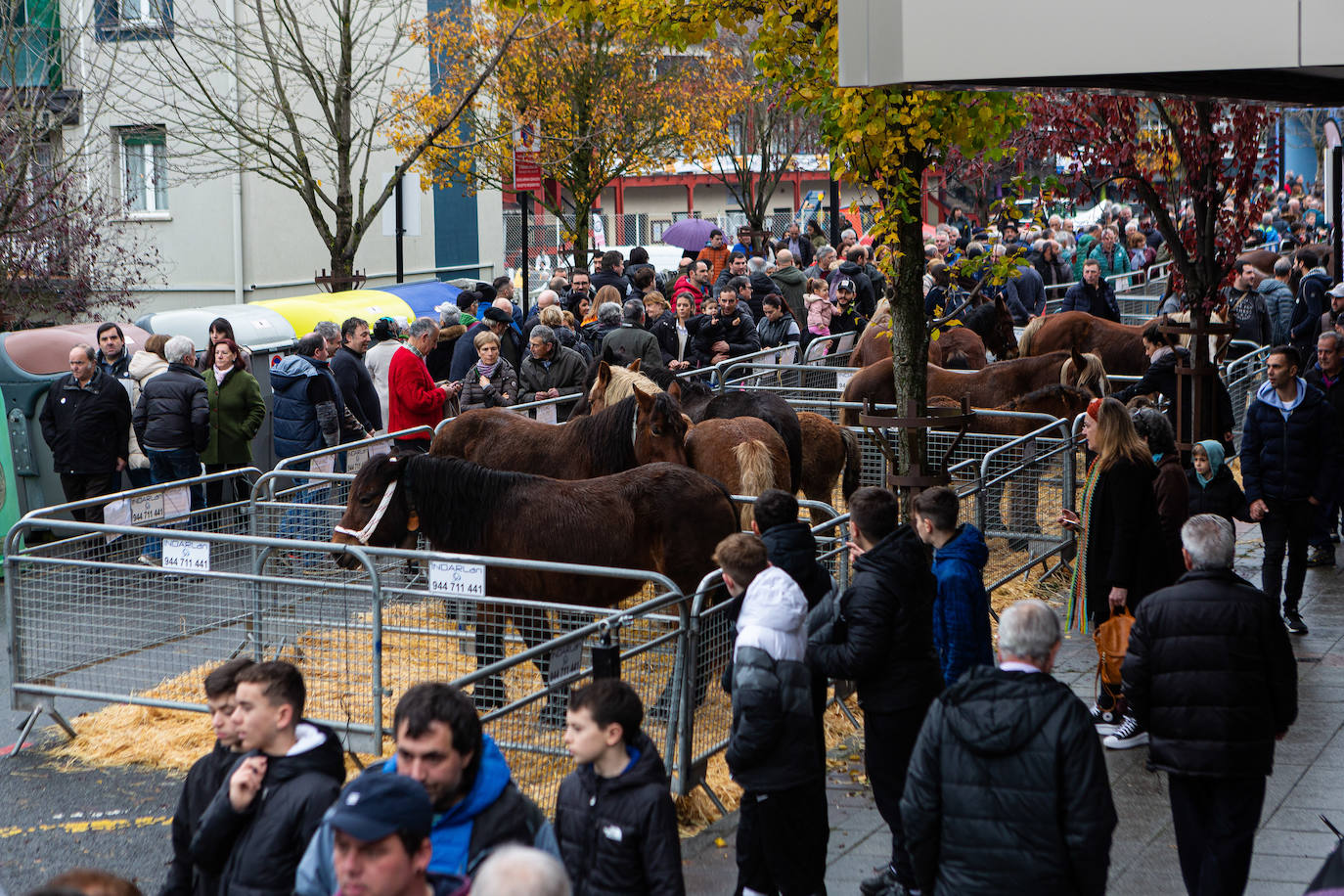 Fotos: La feria de Santa Lucía vuelve a brillar