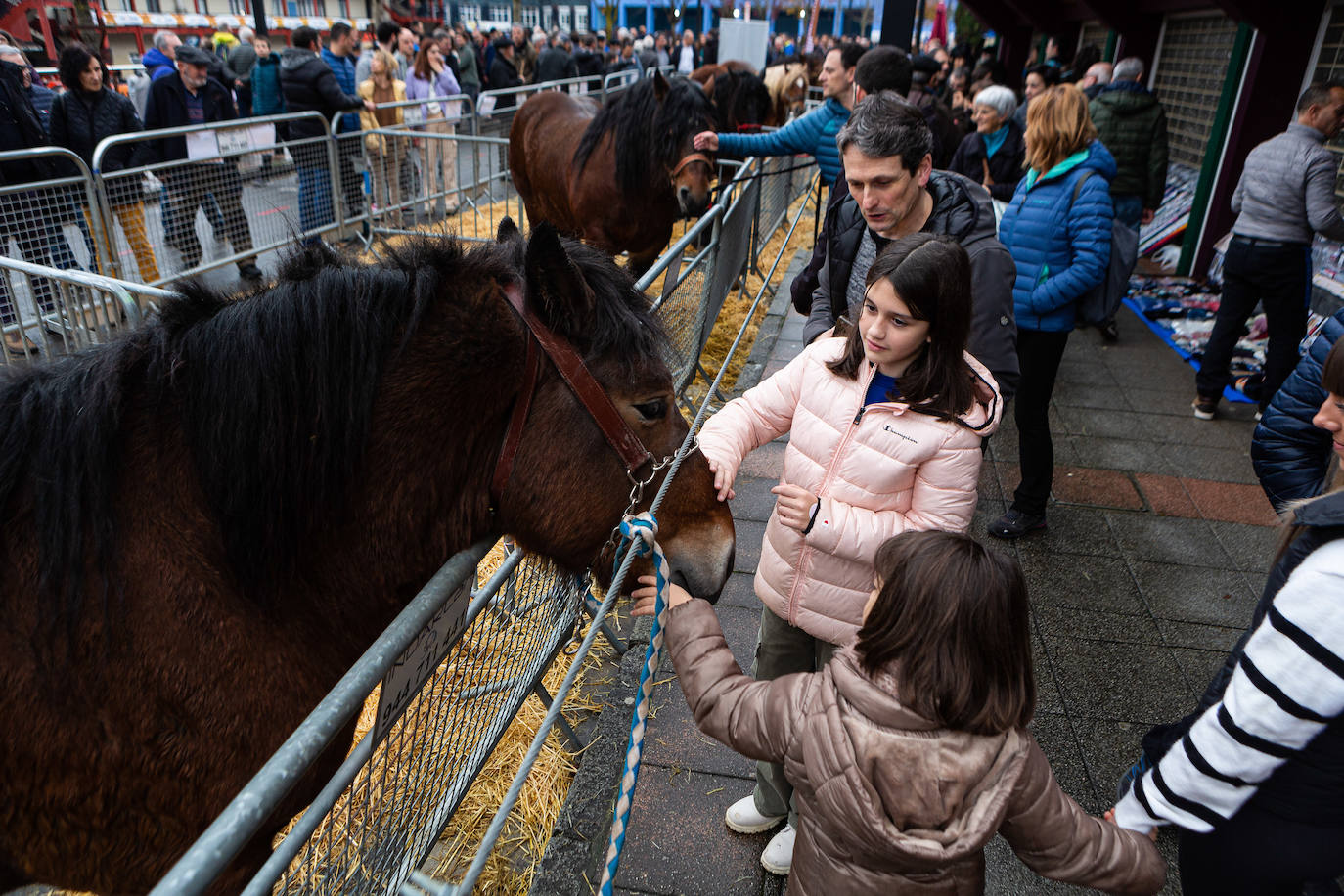 Fotos: La feria de Santa Lucía vuelve a brillar