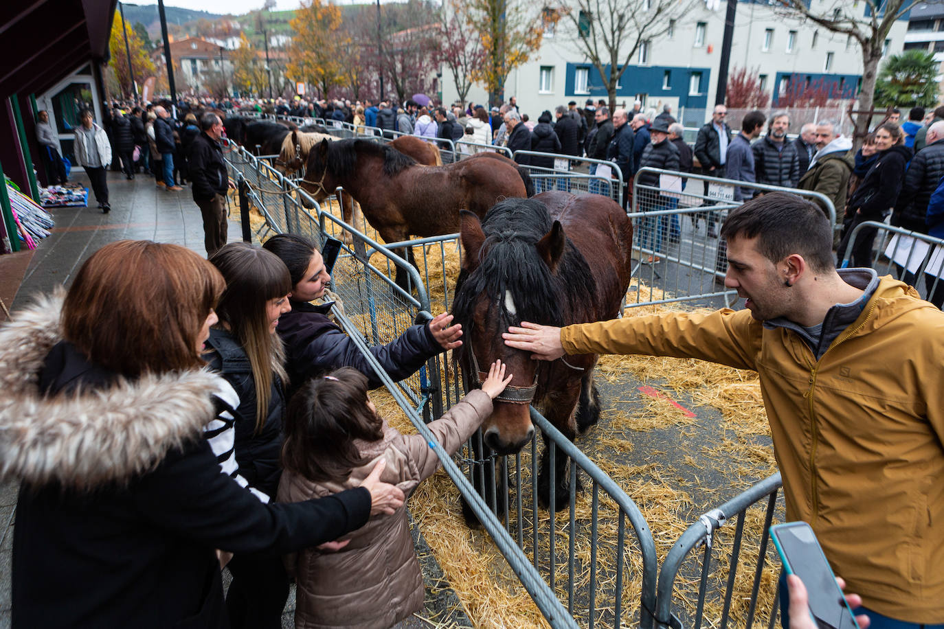 Fotos: La feria de Santa Lucía vuelve a brillar