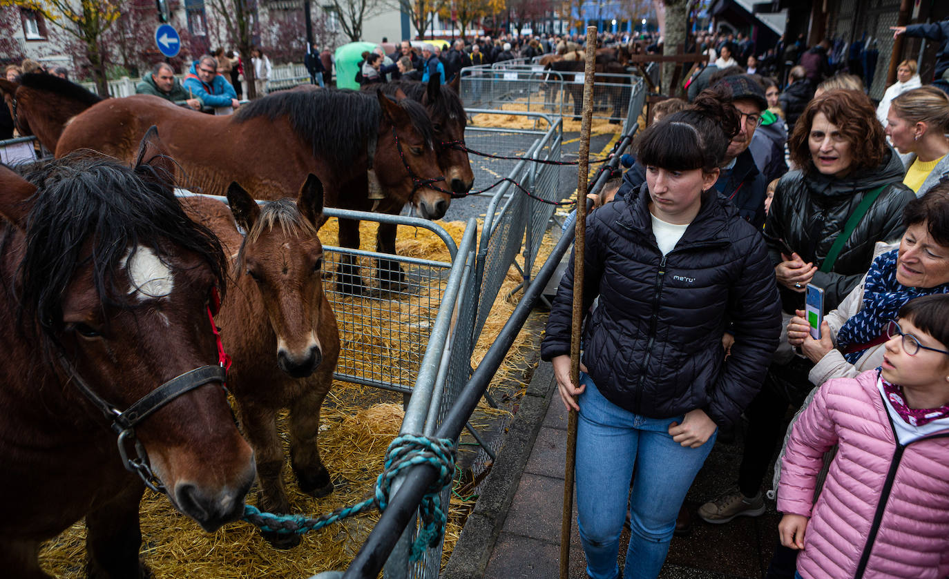 Fotos: La feria de Santa Lucía vuelve a brillar