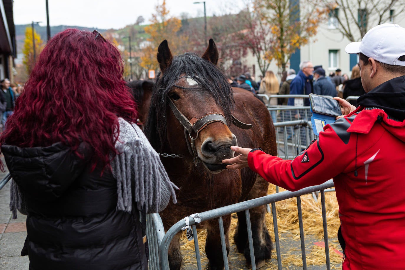 Fotos: La feria de Santa Lucía vuelve a brillar