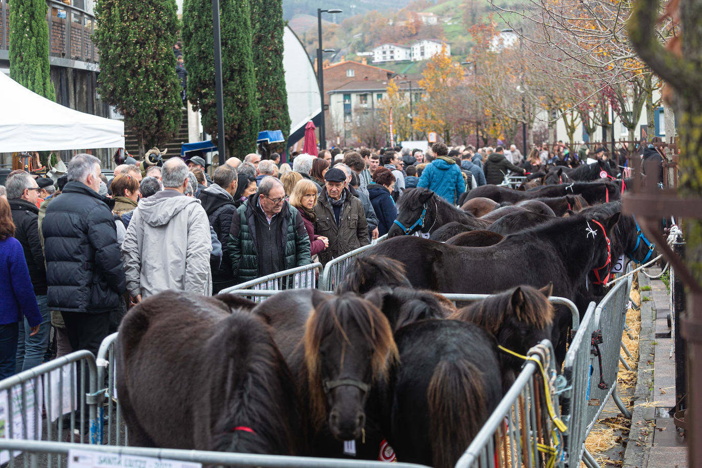 Fotos: La feria de Santa Lucía vuelve a brillar