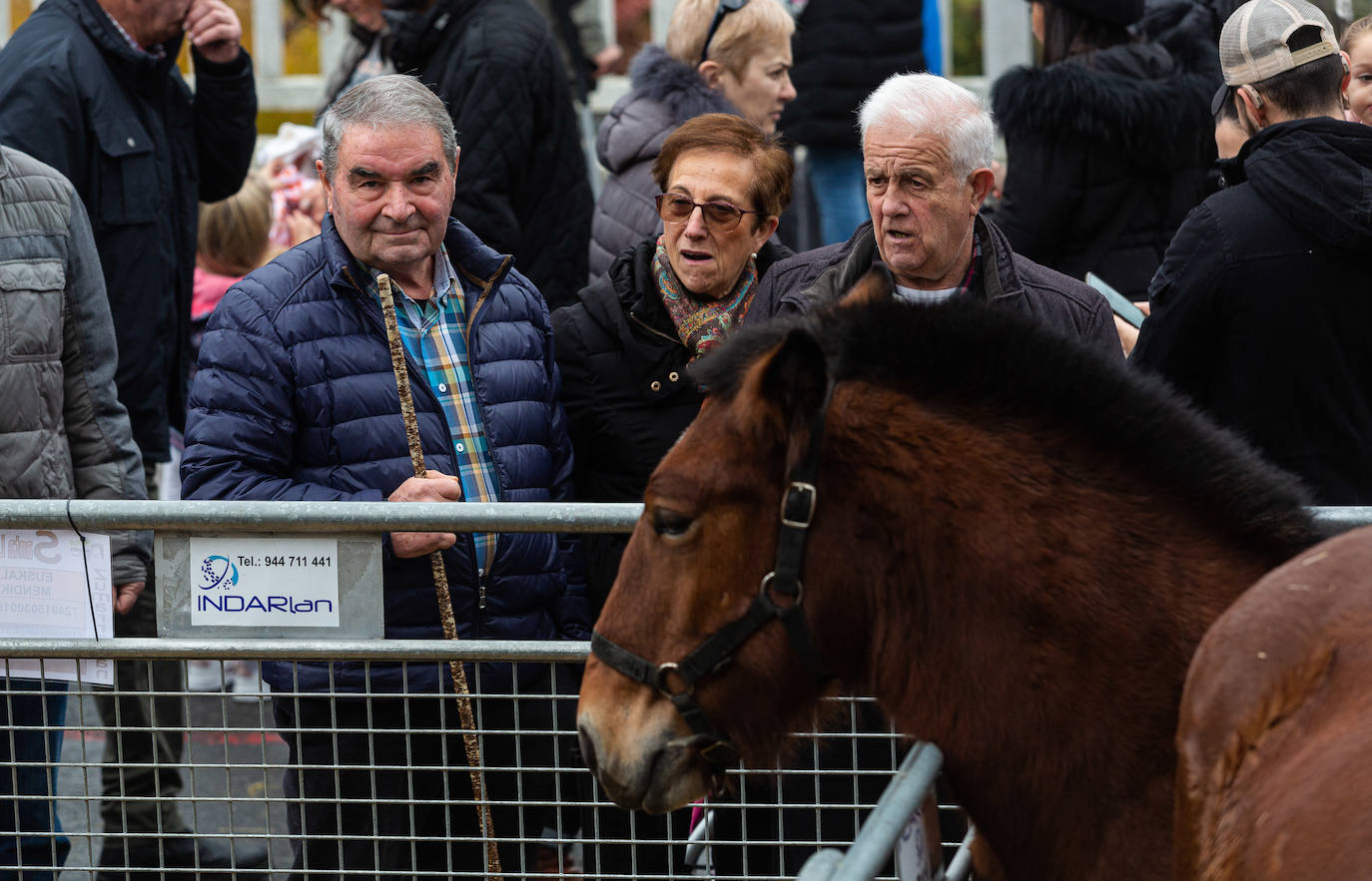 Fotos: La feria de Santa Lucía vuelve a brillar