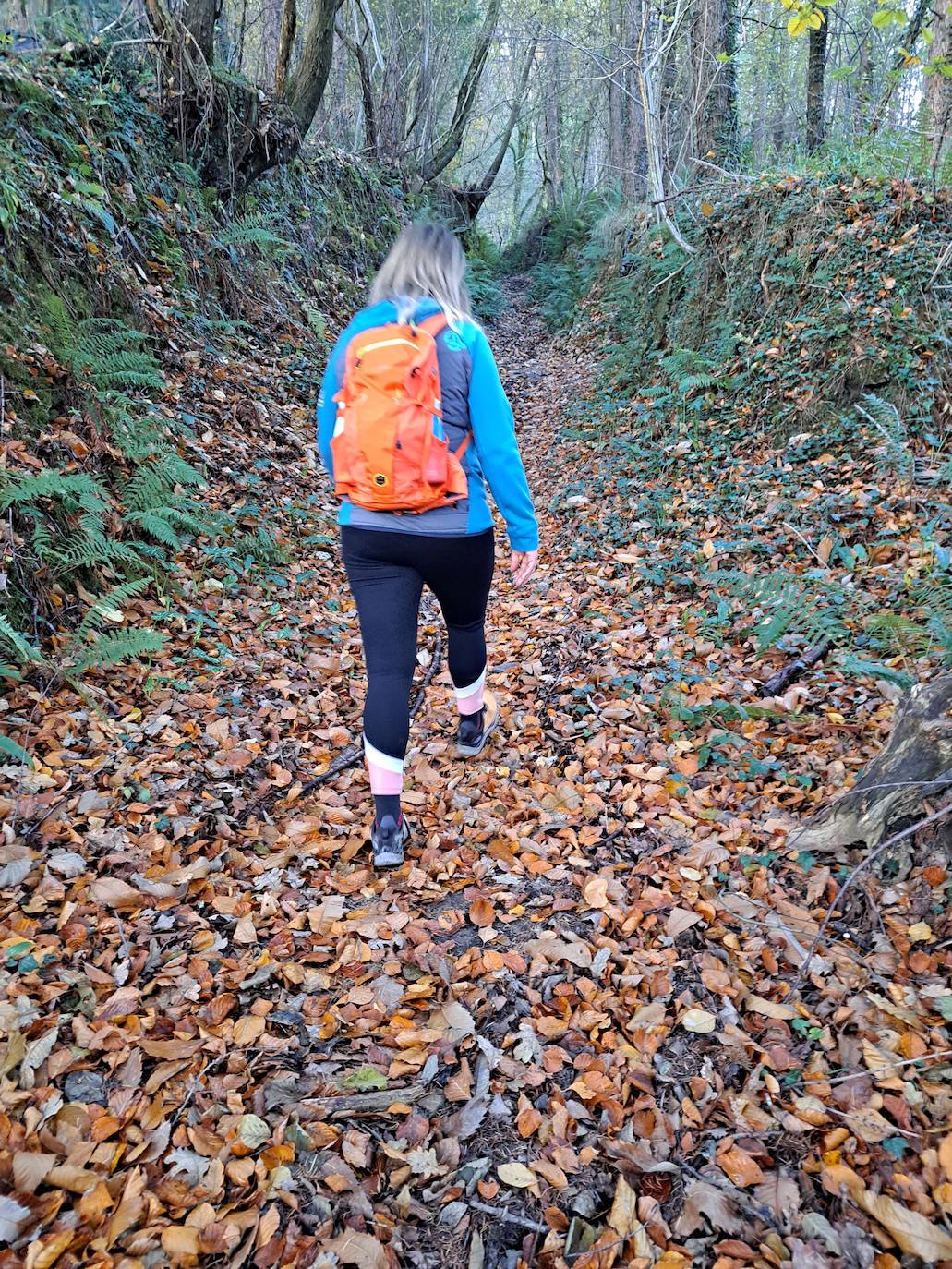 Fotos: Disfruta con las ascensión a Murgil