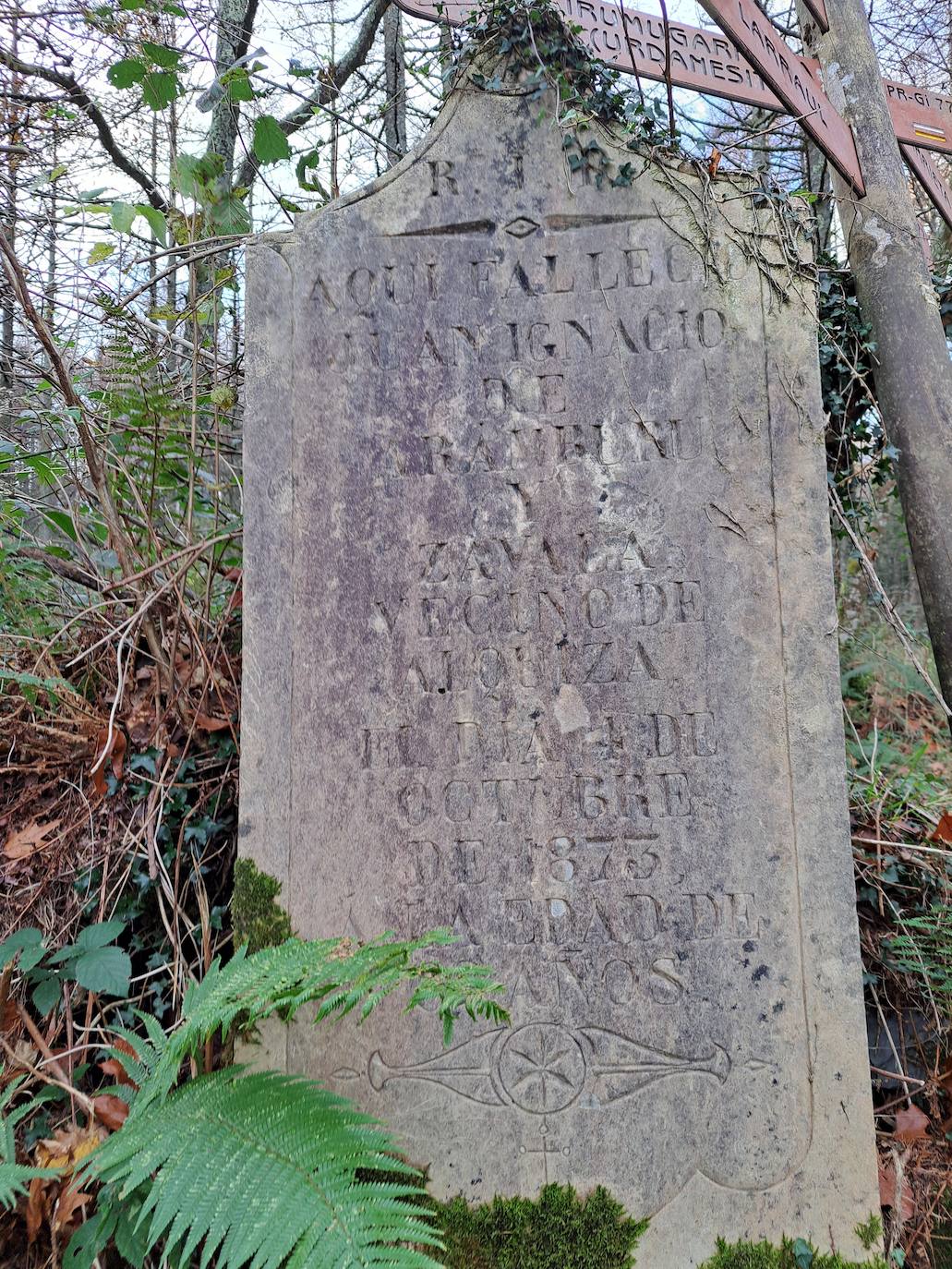 Fotos: Disfruta con las ascensión a Murgil