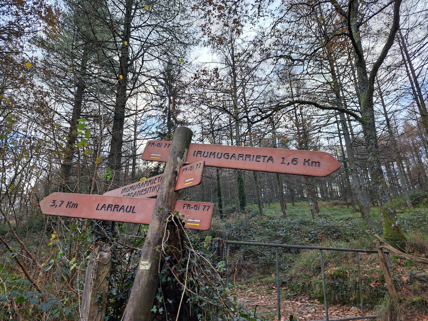 Fotos: Disfruta con las ascensión a Murgil