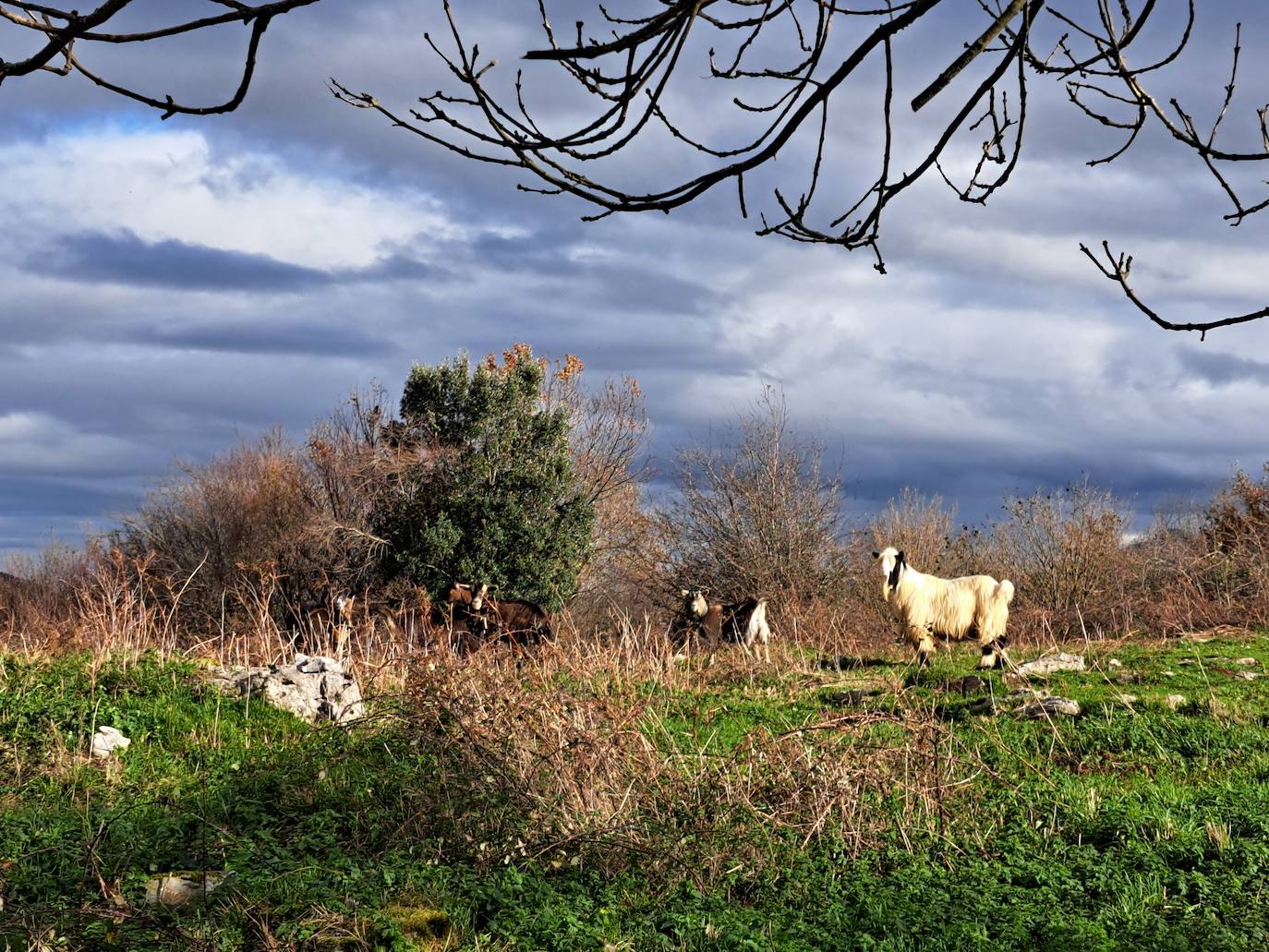 Fotos: Disfruta con las ascensión a Murgil