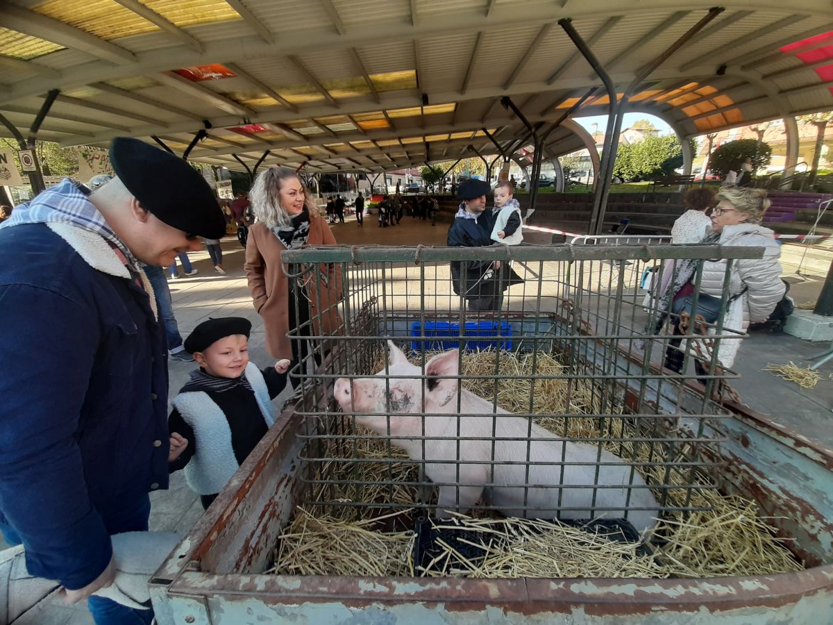 Fotos: Lezo celebra Santo Tomás