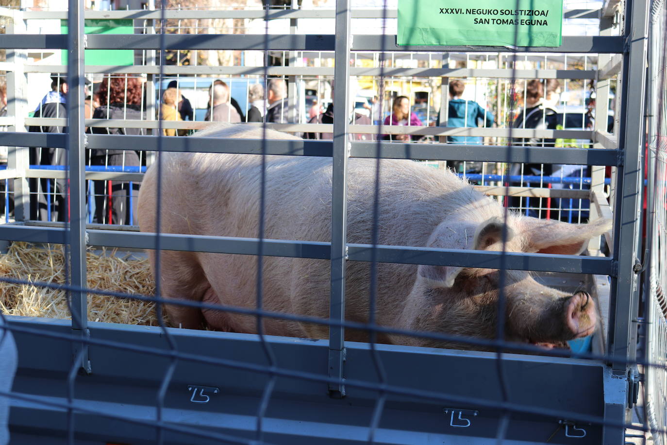 Fotos: Errenteria se vuelca con Santo Tomás