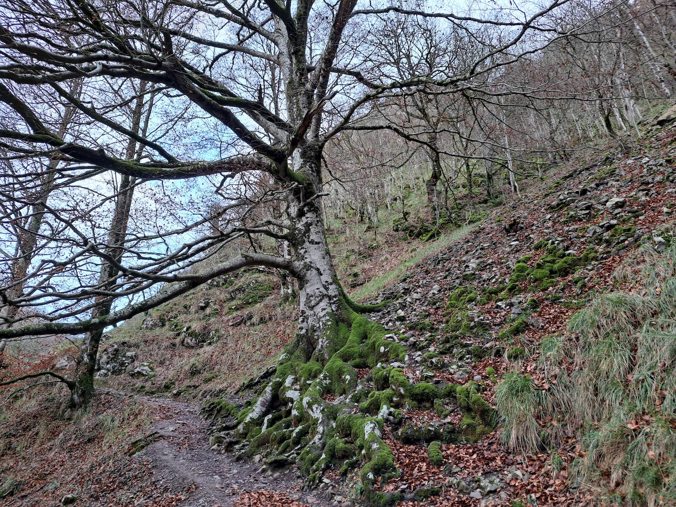 Fotos: Uidui, un bonito rincón de Aralar