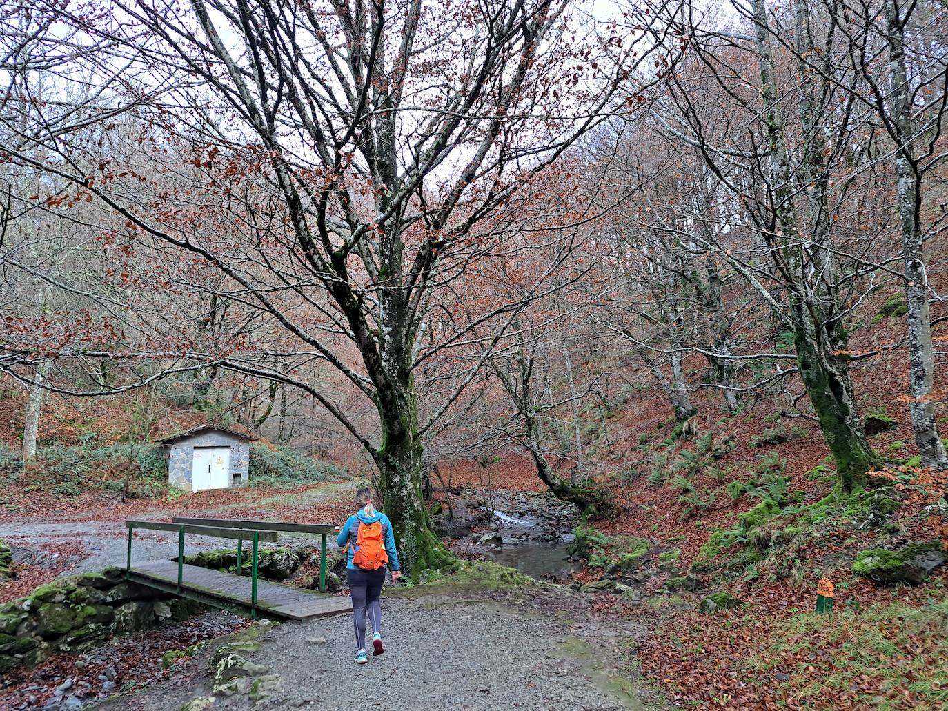 Fotos: Uidui, un bonito rincón de Aralar