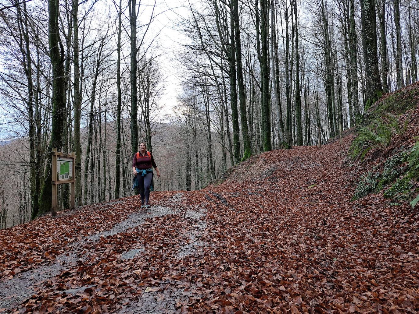 Fotos: Uidui, un bonito rincón de Aralar