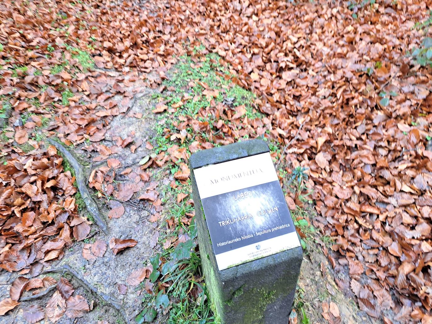 Fotos: Uidui, un bonito rincón de Aralar