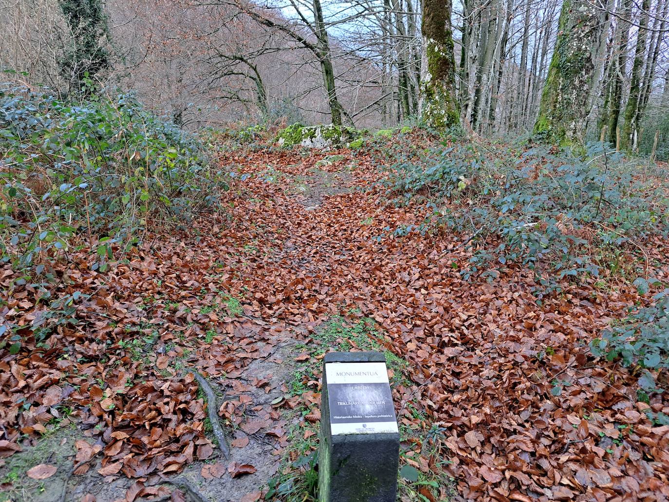 Fotos: Uidui, un bonito rincón de Aralar