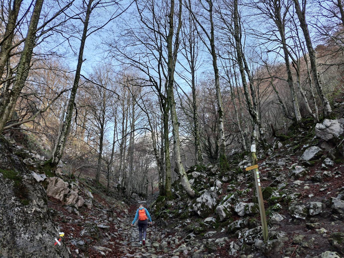 Fotos: Uidui, un bonito rincón de Aralar