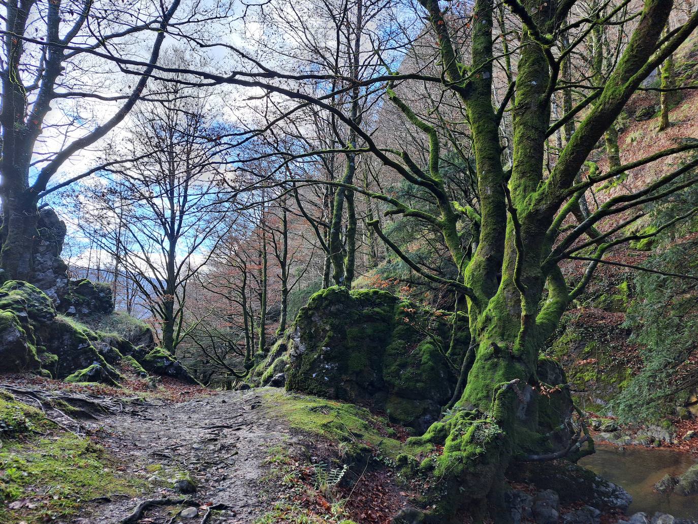 Fotos: Uidui, un bonito rincón de Aralar