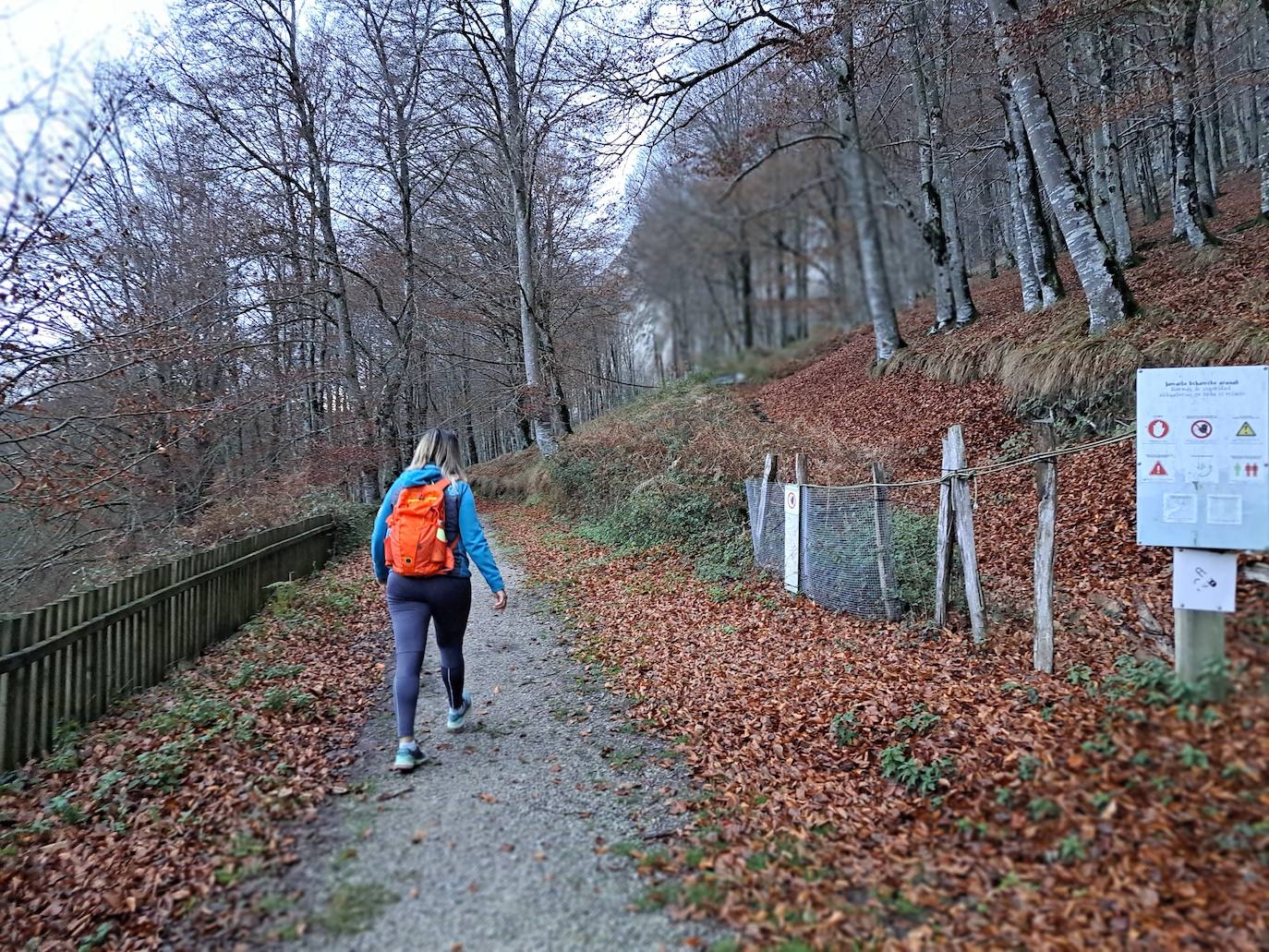 Fotos: Uidui, un bonito rincón de Aralar