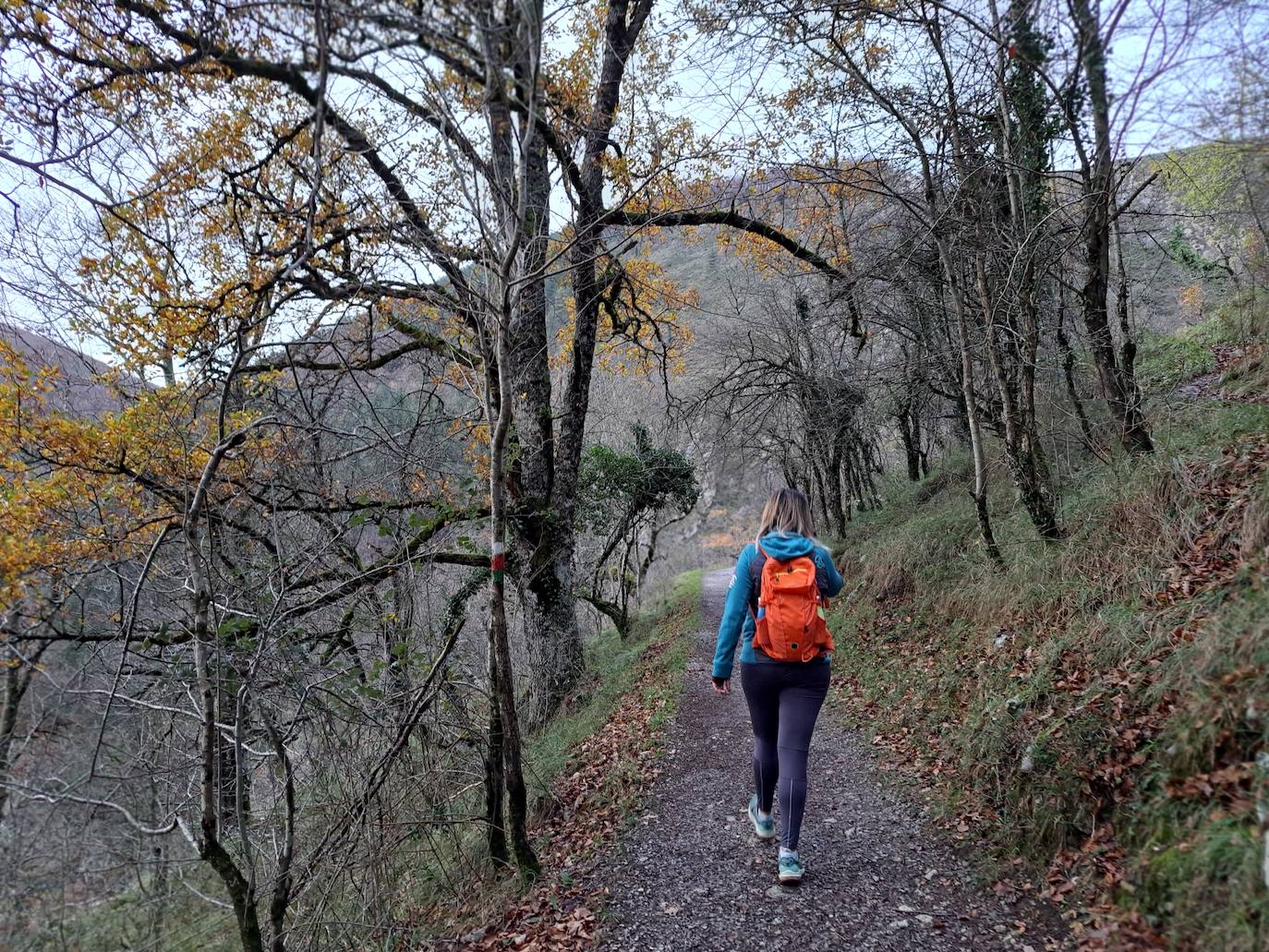 Fotos: Uidui, un bonito rincón de Aralar