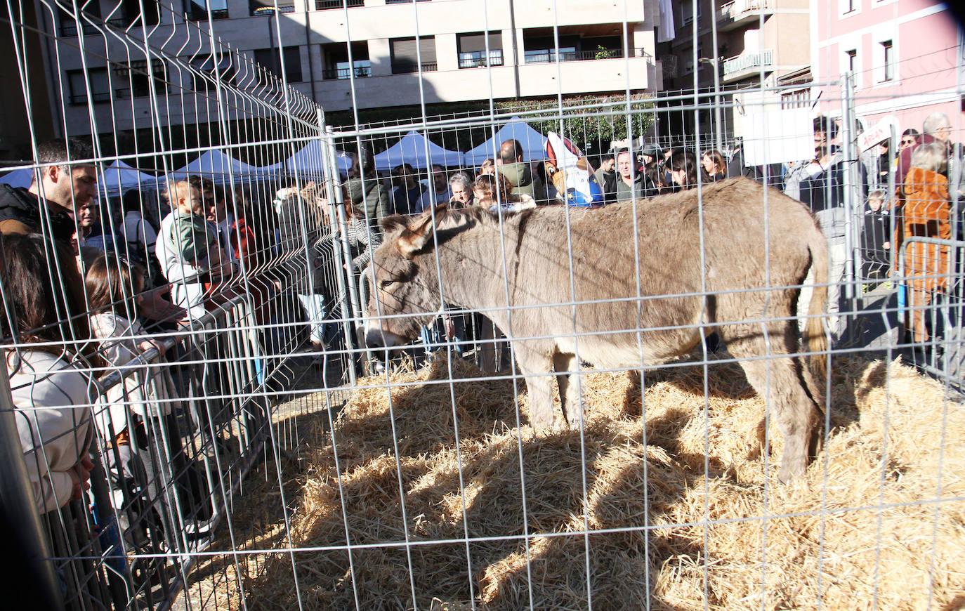Fotos: Ambiente navideño en una feria muy especial en Ordizia