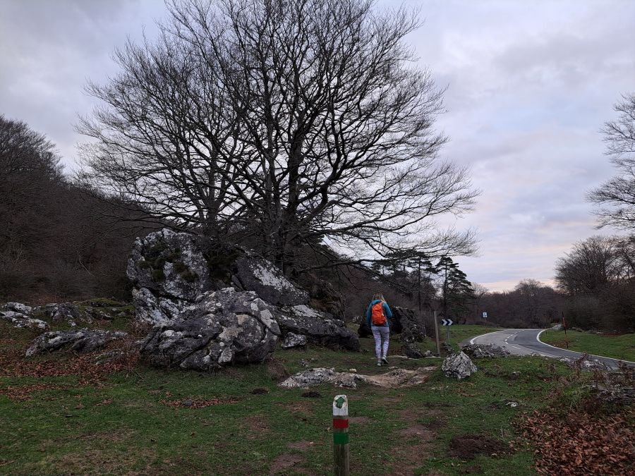 Fotos: Ruta mágica entre hayedos hacia la cima de Bargagain