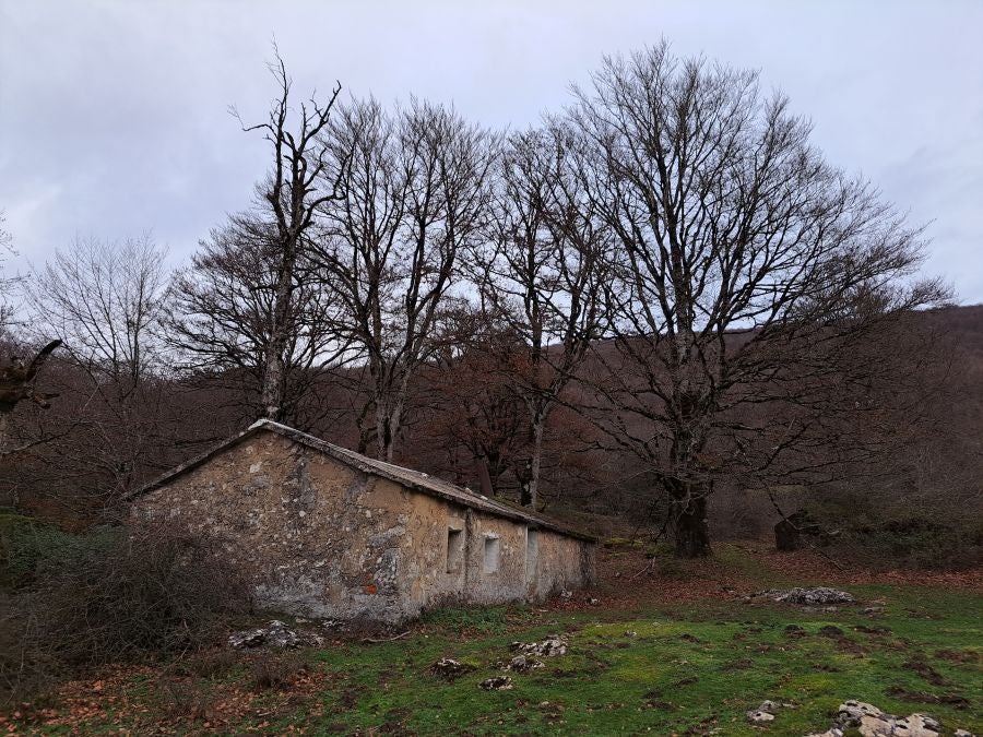 Fotos: Ruta mágica entre hayedos hacia la cima de Bargagain