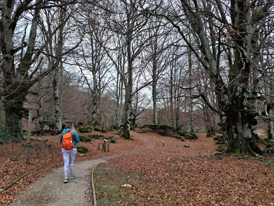 Fotos: Ruta mágica entre hayedos hacia la cima de Bargagain