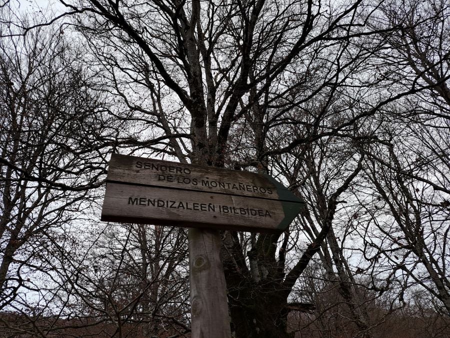 Fotos: Ruta mágica entre hayedos hacia la cima de Bargagain