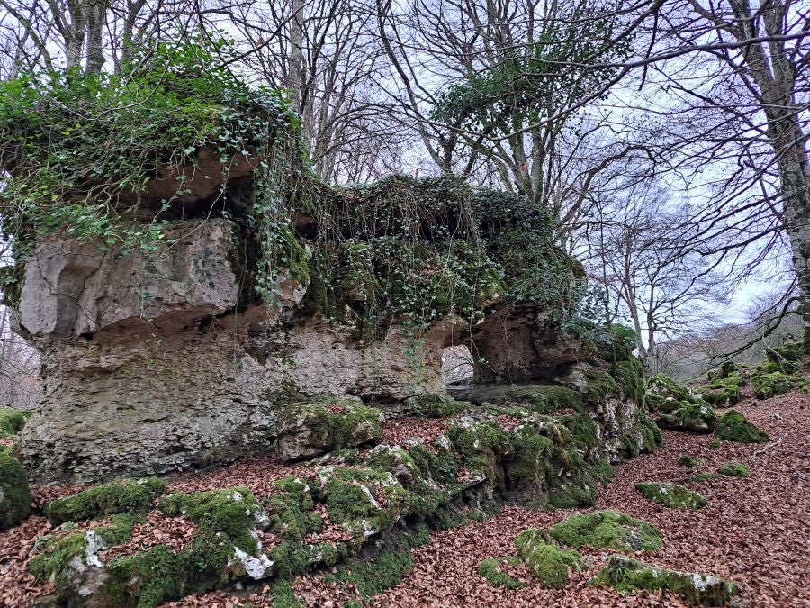 Fotos: Ruta mágica entre hayedos hacia la cima de Bargagain